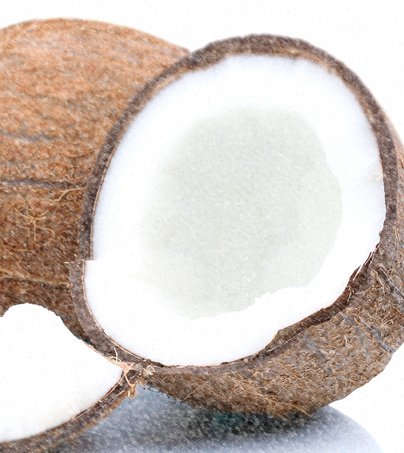 Kokosnuss-Protein | Proteinpulver für vegane Ernährung